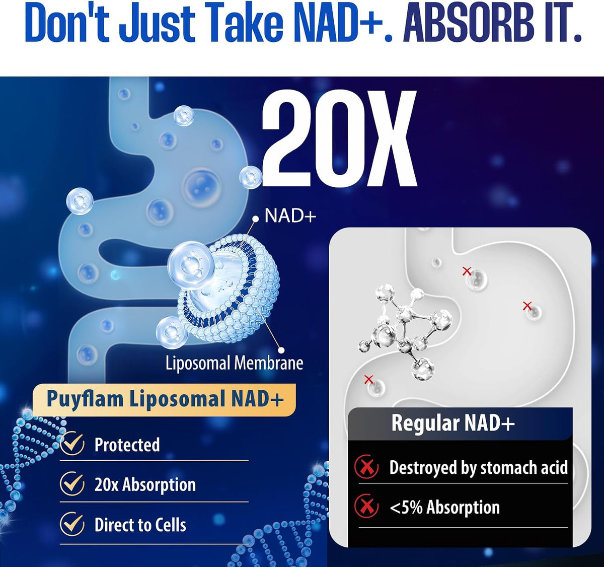 NAD Nicotinamide Riboside Resveratrol-80 Capsules